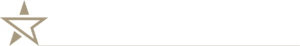 logo blackstarlimo white